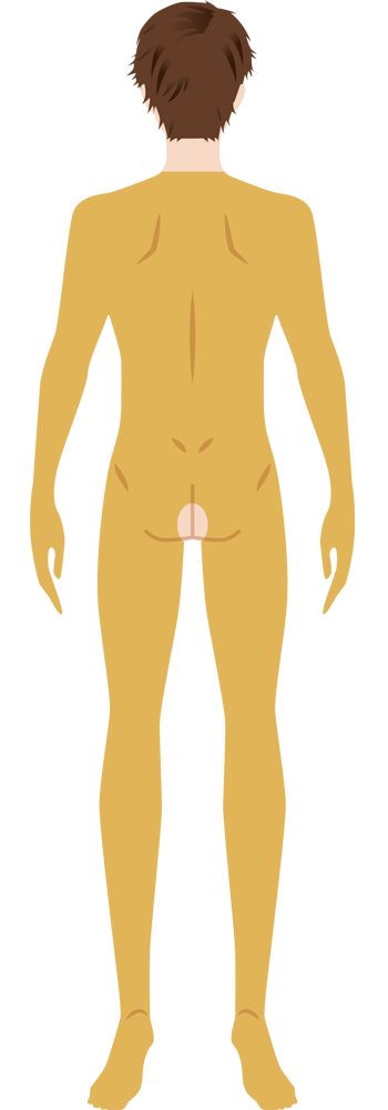 全身脱毛（首の真ん中くらいから踵あたりまで全て）